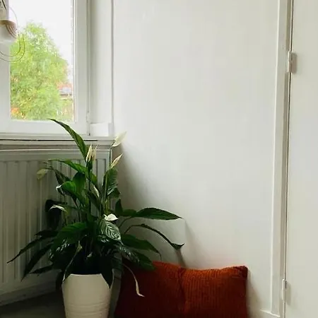 Maisonette Tran Rijsel Buitenkant foto